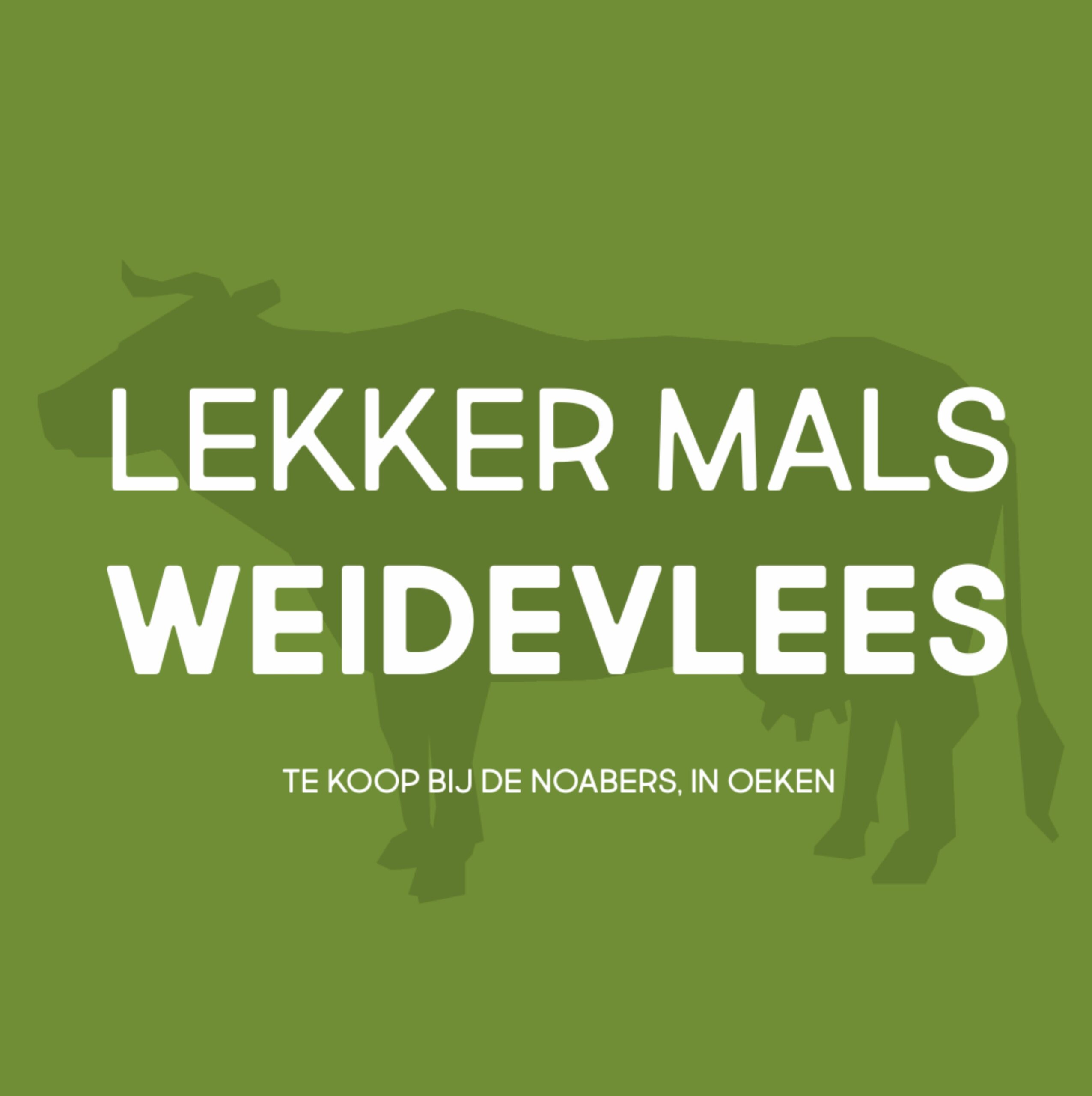 De Noabers Oeken
